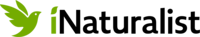 iNaturalist